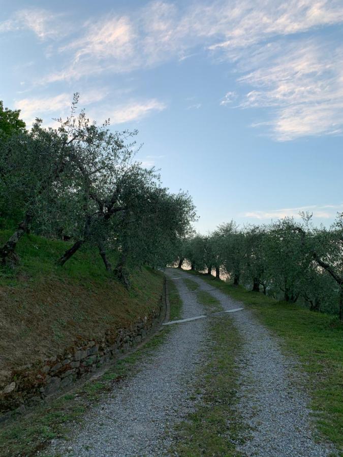 Marziani Rustic Tuscan House Capannori Extérieur photo